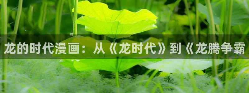 汗汗漫画免费韩漫：龙的时代漫画：从《龙时代》到《龙腾争霸