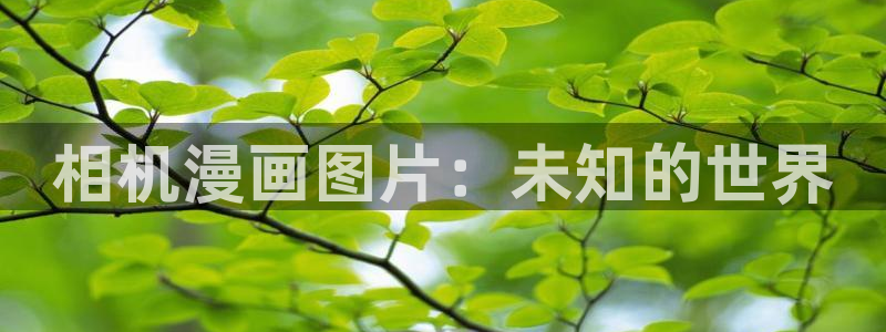 汗汗漫画在线阅读：相机漫画图片：未知的世界