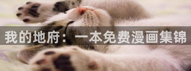 汗汗漫画在哪可以看：我的地府：一本免费漫画集锦