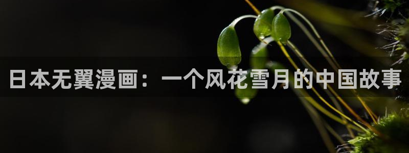 汗汗漫画免费无删减：日本无翼漫画：一个风花雪月的中国故事